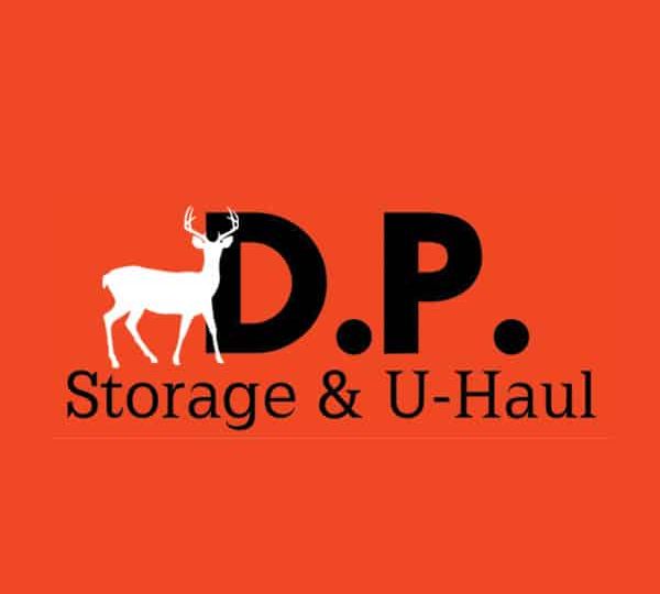 logo-dpstorage